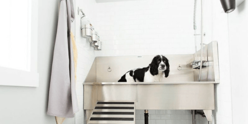 Stainless Steel Dog Grooming Sinks - Download Free CAD Drawings, BIM Models, Revit, Sketchup, SPECS and more.